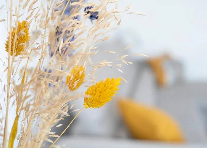 Groemitz-center Whg 431 Appartement *